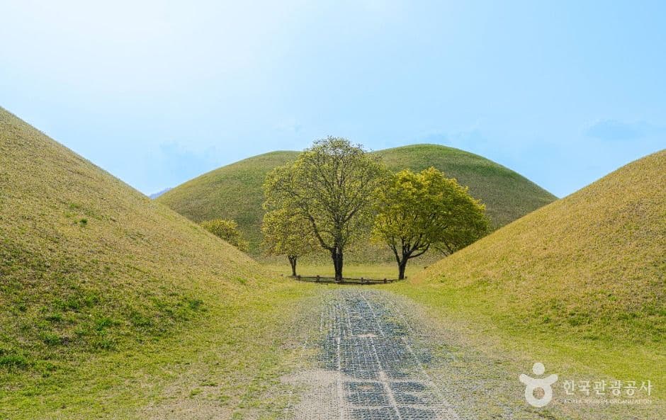 [부산 출발] 경주 유네스코 유산과 야경 투어